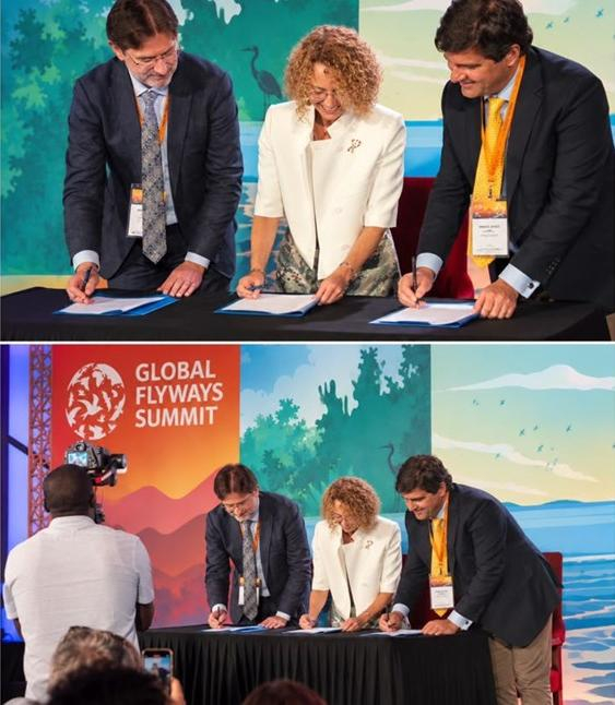 02ff059b5c6c5ed1cc136e4d82690d03ba1015f7 75955f45eb9a7f29