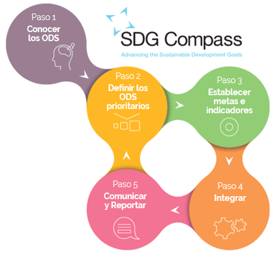 5 Pasos Guía Compass