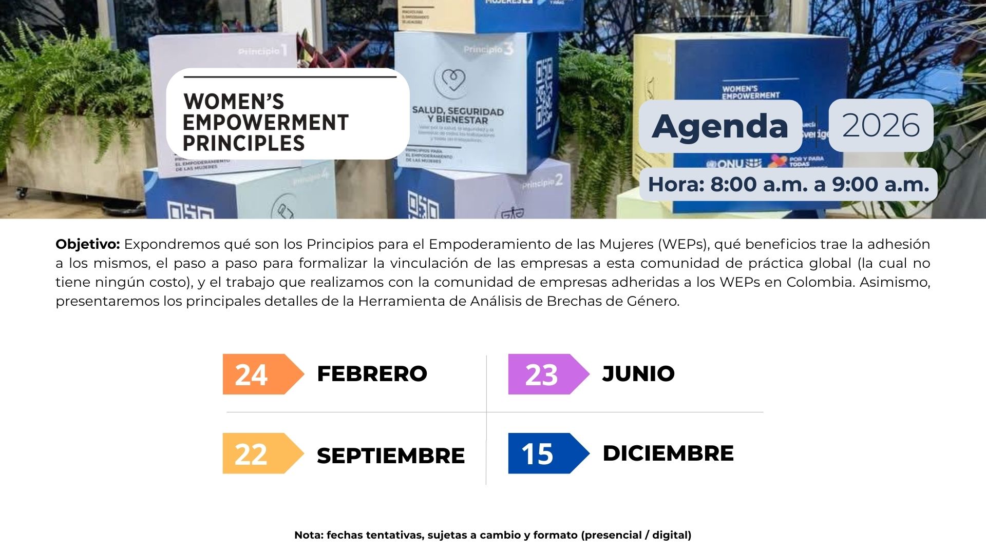 Mesa Principios para el Empoderamientode las Mujeres WEPs