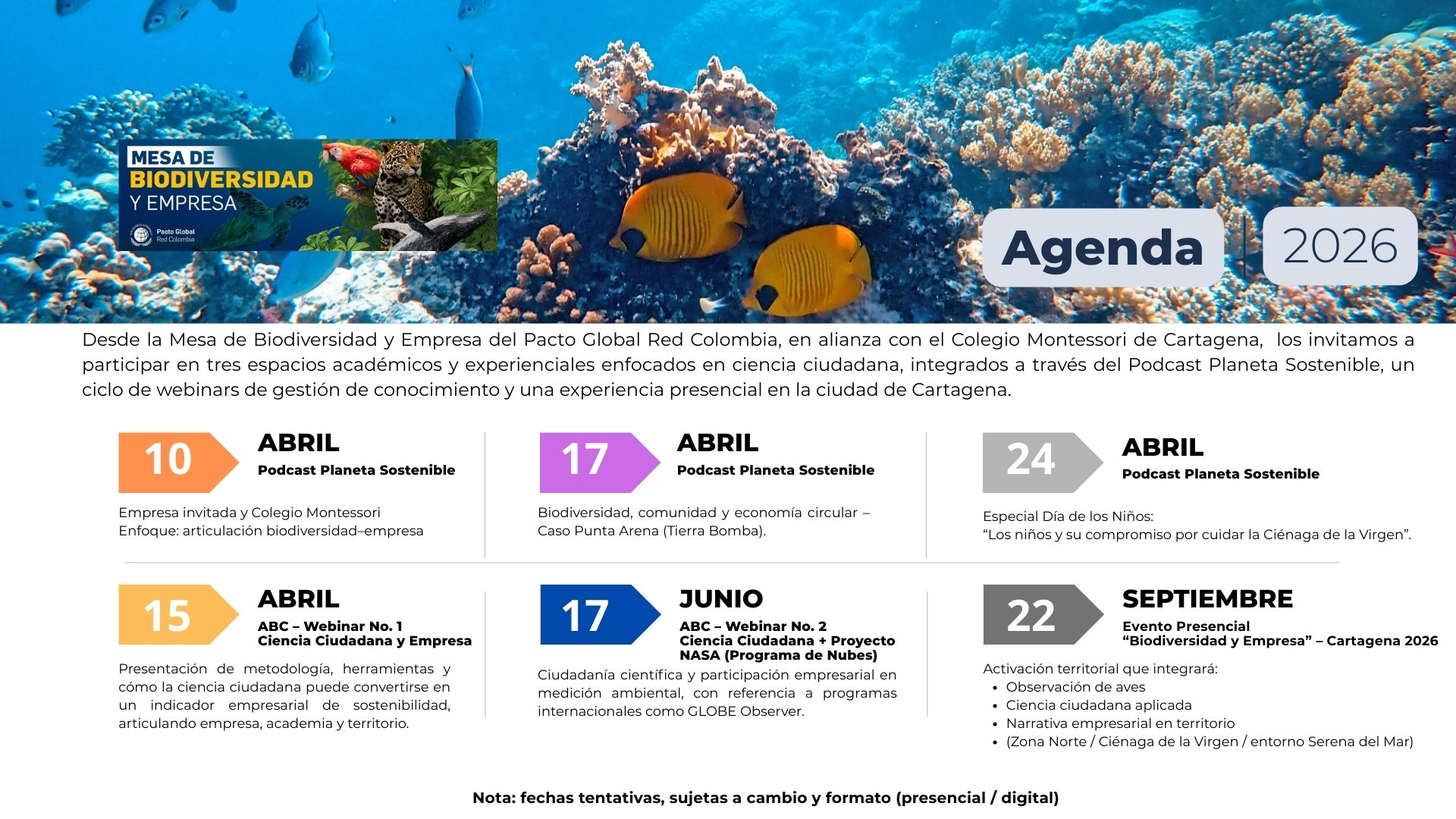 Mesa de Biodiversidad y Empresa