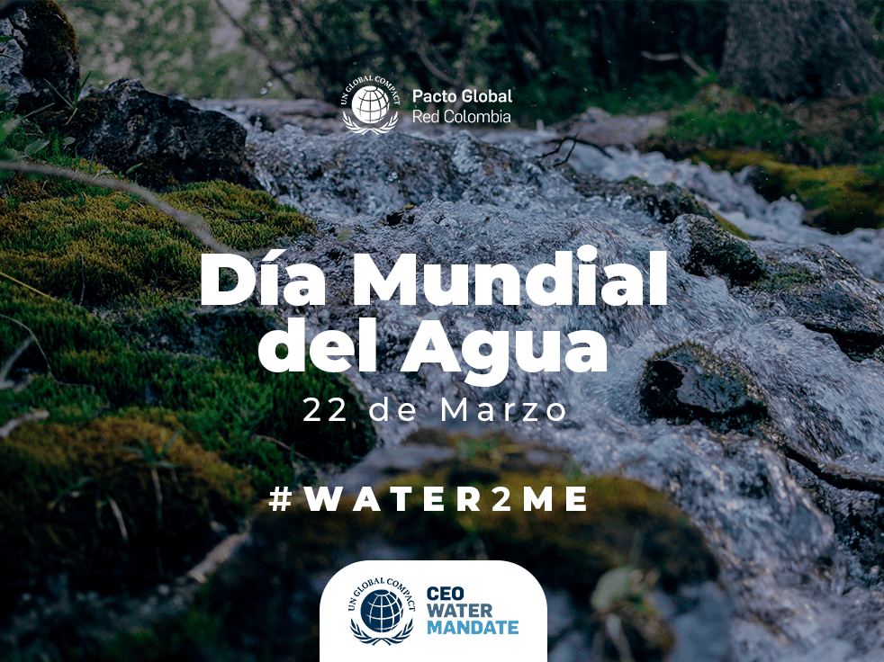 Celebre El Día Mundial Del Agua 2021 Con Pacto Global Red Colombia | News