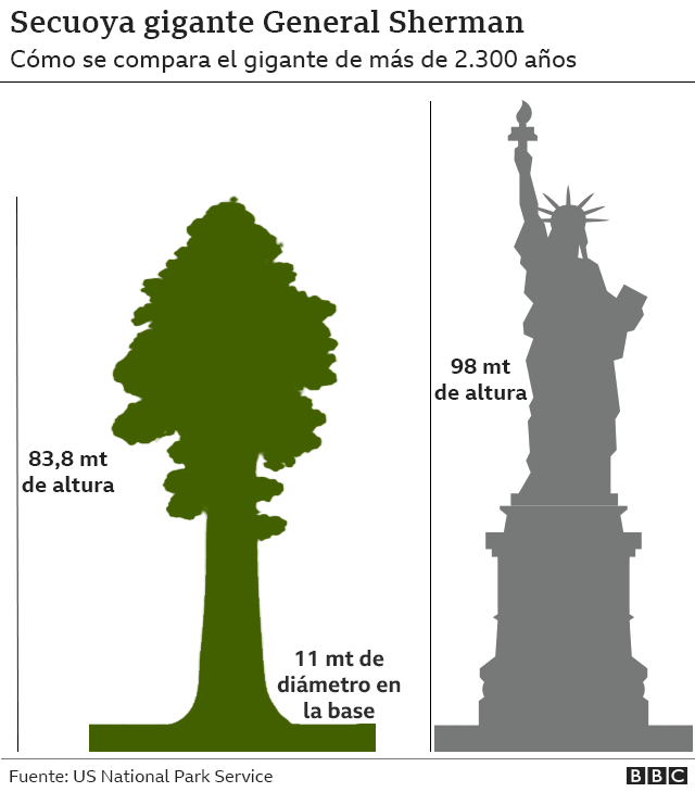  120605407 general sherman sequoia spanish 640 nc