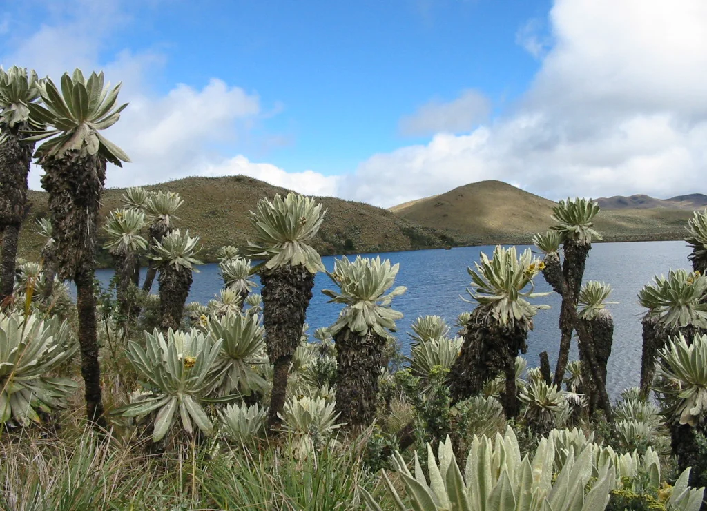 Luis Germán Naranjo WWF Colombia PNN Los Nevados Laguna del Otún