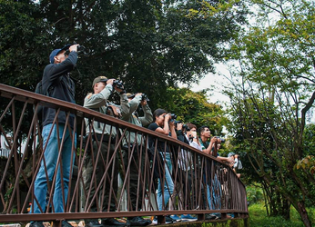 ¿Cómo conectar la biodiversidad con las ciudades?