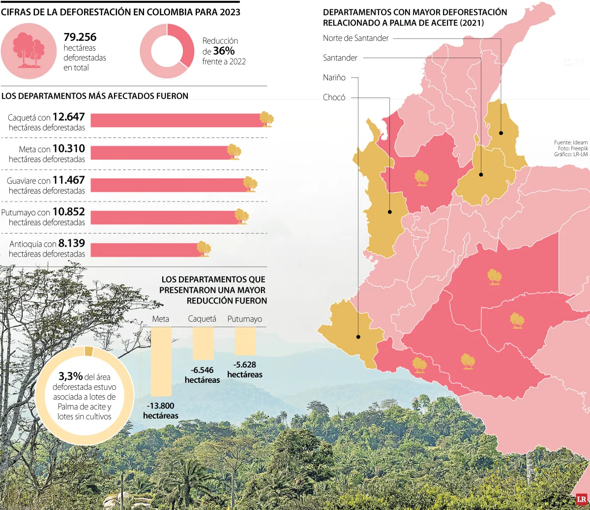 RSE deforestacion p14 15 1f76e