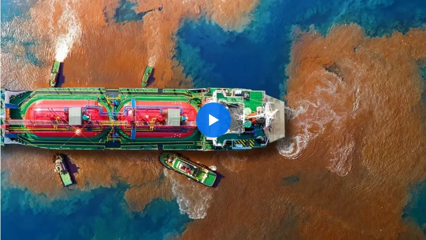 Screenshot 2024 03 07 at 14 23 04 La UE castigará delitos medioambientales con hasta diez años de cárcel 7d2e5