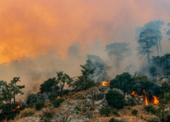 Estos son los devastadores efectos del cambio climático en la...