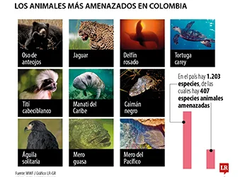 De cara a la COP16, estas son las 10 especies en peligro de...