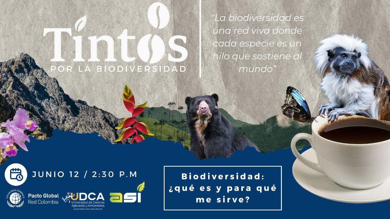 0612.TintosDiversidad c671e