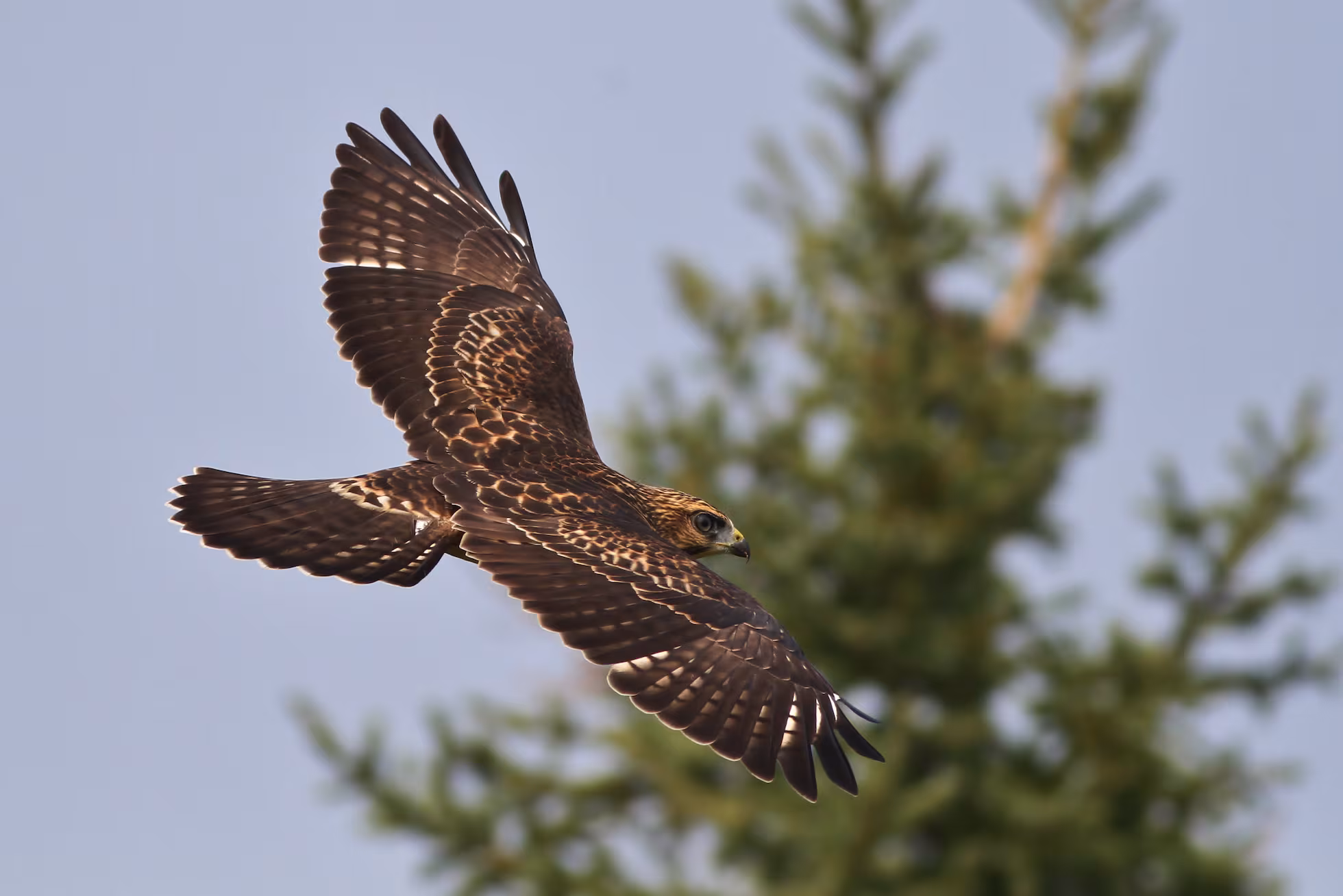 63UY6RTADFB2DMAM6MWF26MJEI 05a33