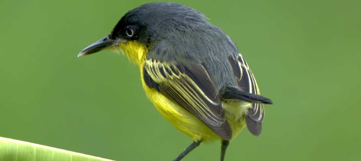 682798708c58c.r d.838 626 9375 4a663