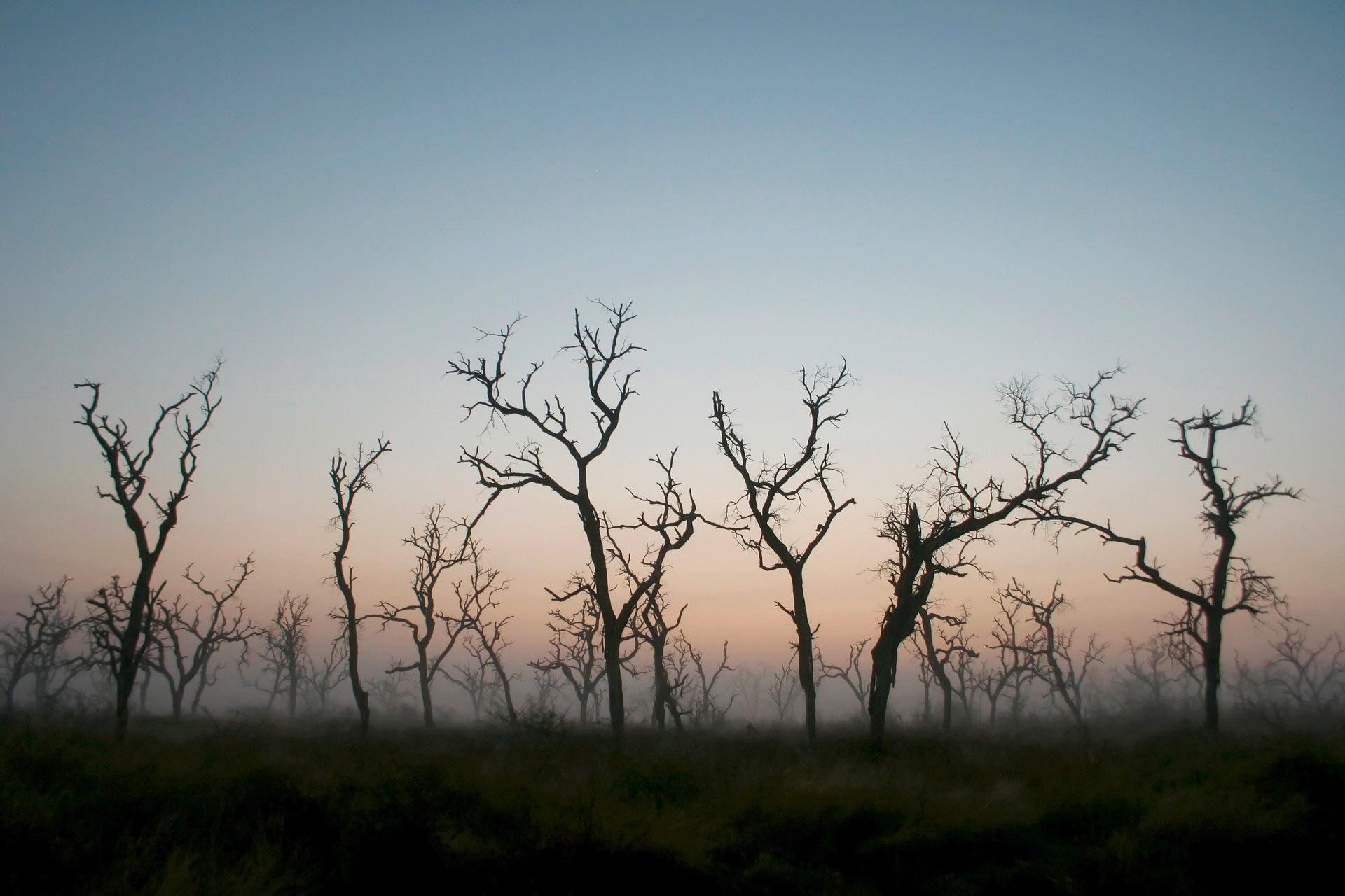 Deforestación 9c514