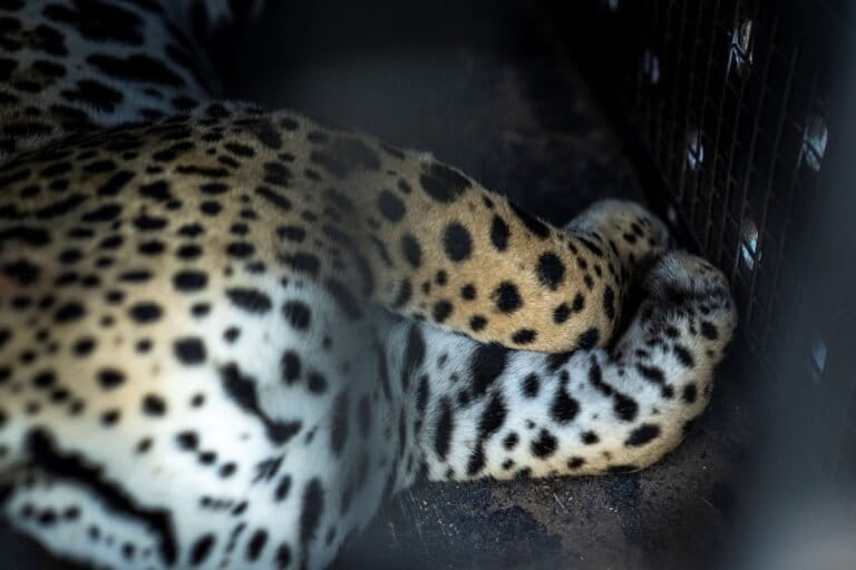 FIRST STEP OF THE NEXT JOURNEY Sebastian Navajas 05553 768x512 e4b35