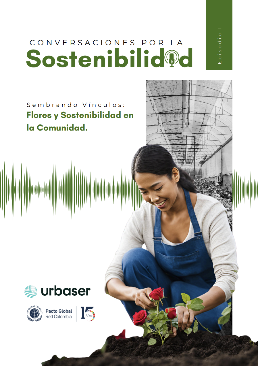 BOLETINSUNSHINEBOUQUET 16387