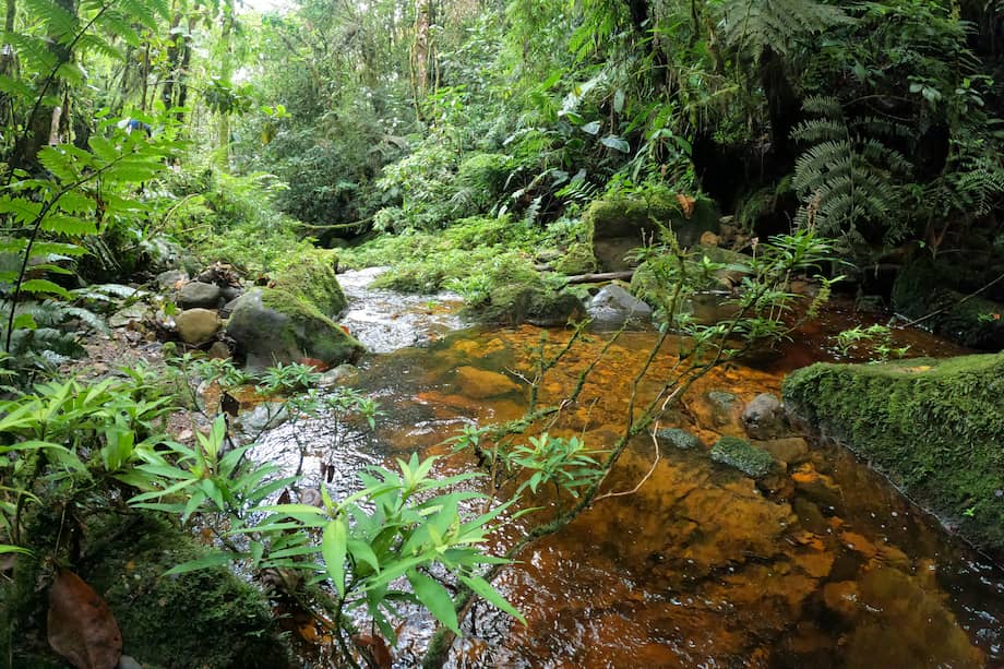 Foto Espectador c105e