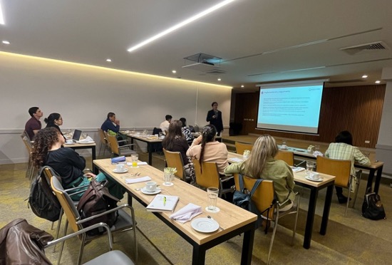 IMPLEMENTA SUR2 108f6