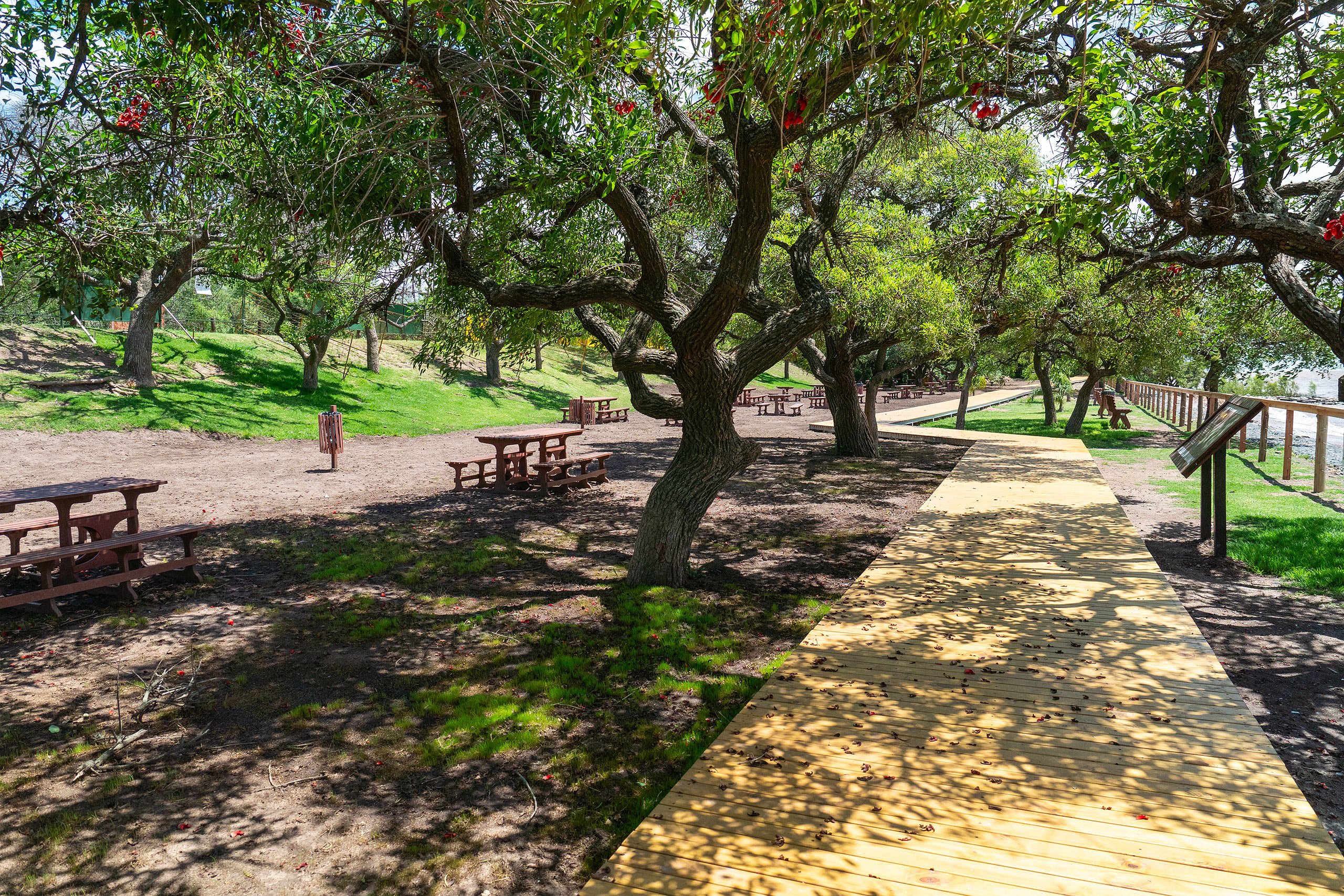 Reserva Ecologica Costanera Sur Buenos Aires Argentina Gobierno Ciudad Buenos Aires 1 8eb31