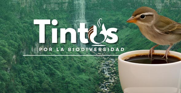 TintosPorLaBioDiversidad dc467