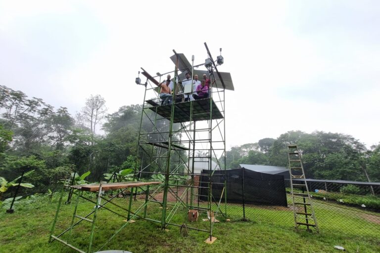 amazonia hongos bacterias aire actividad humana3 768x512 9918d