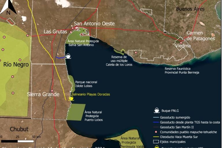 ballenamongabay3 5f8fd