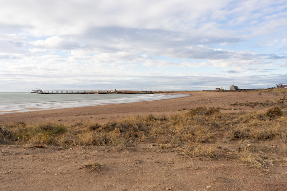 ballenamongabay8 c58bb