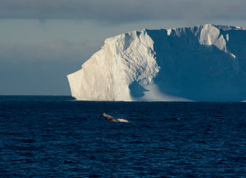 ¿La circulación oceánica que regula el clima del planeta podría...