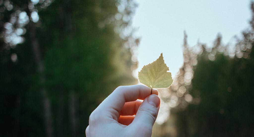 pexels moklebust 16892081 1653e