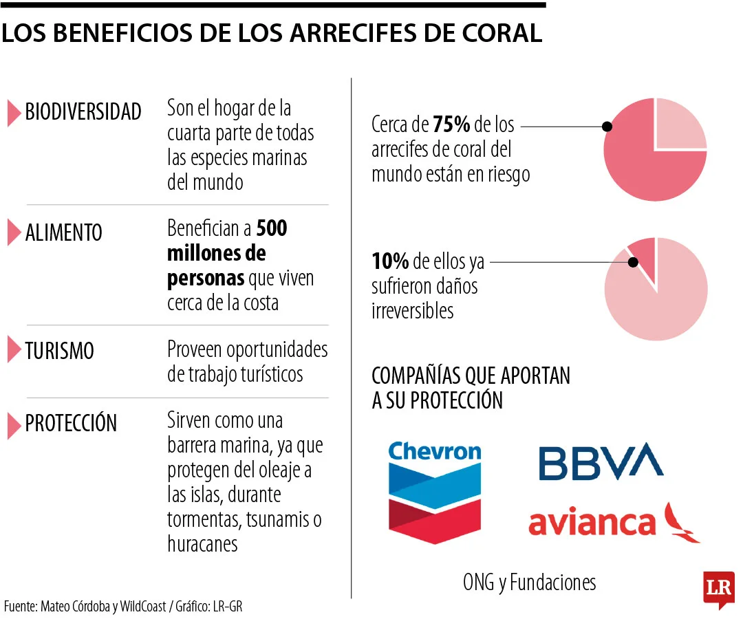 web rse 14042025 85f73