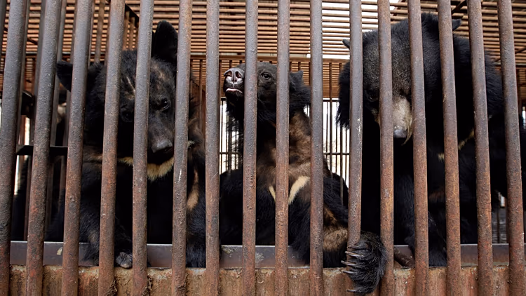 750x422 cmsv2 4b1e47cc db5e 56ef 8a85 0dc22eaa4e7c 9599524 3183c