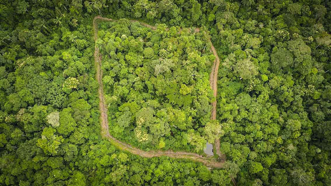 Brasil 3 Recinto en Para donde vivio Xama antes de ser reintroducido en la naturaleza Foto cortesia Oncafari 4582b