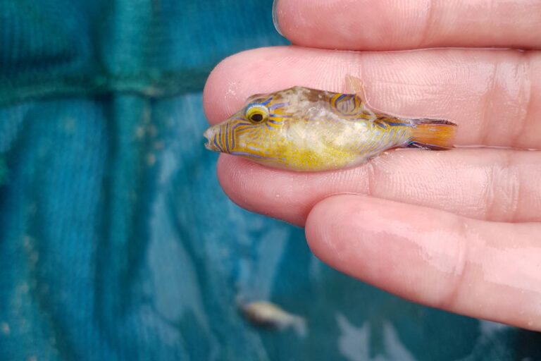 Foto Lourdes Vasquez Santuario Botete ECO 6 768x512 82455