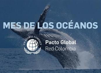 Junio: iniciativas empresariales para la protección de los océanos