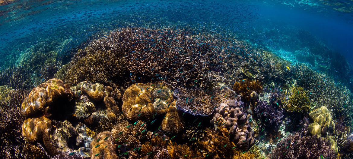 image1170x530cropped 02 3966b