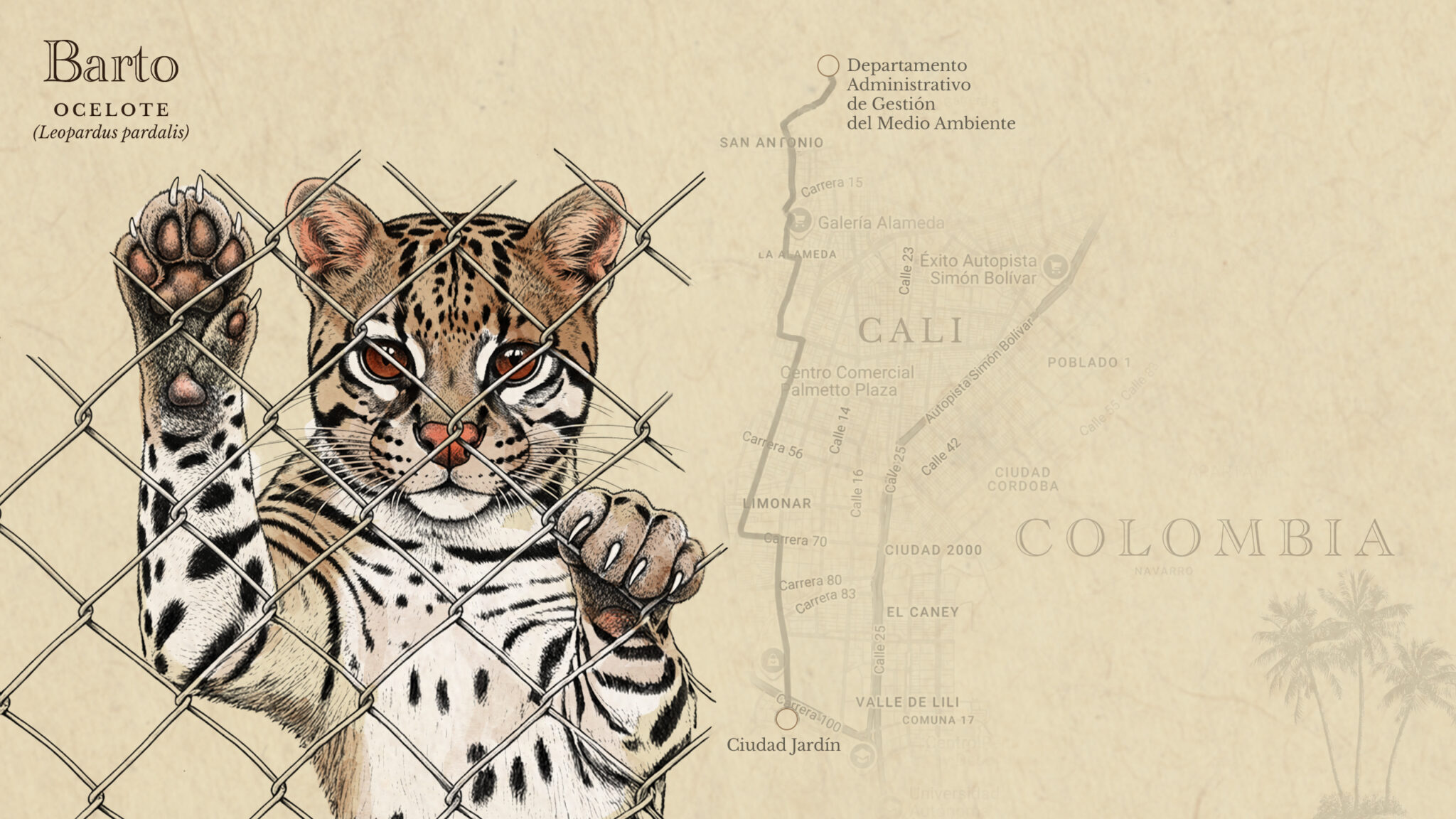 ocelote colombia horizontal 2048x1152 7f653