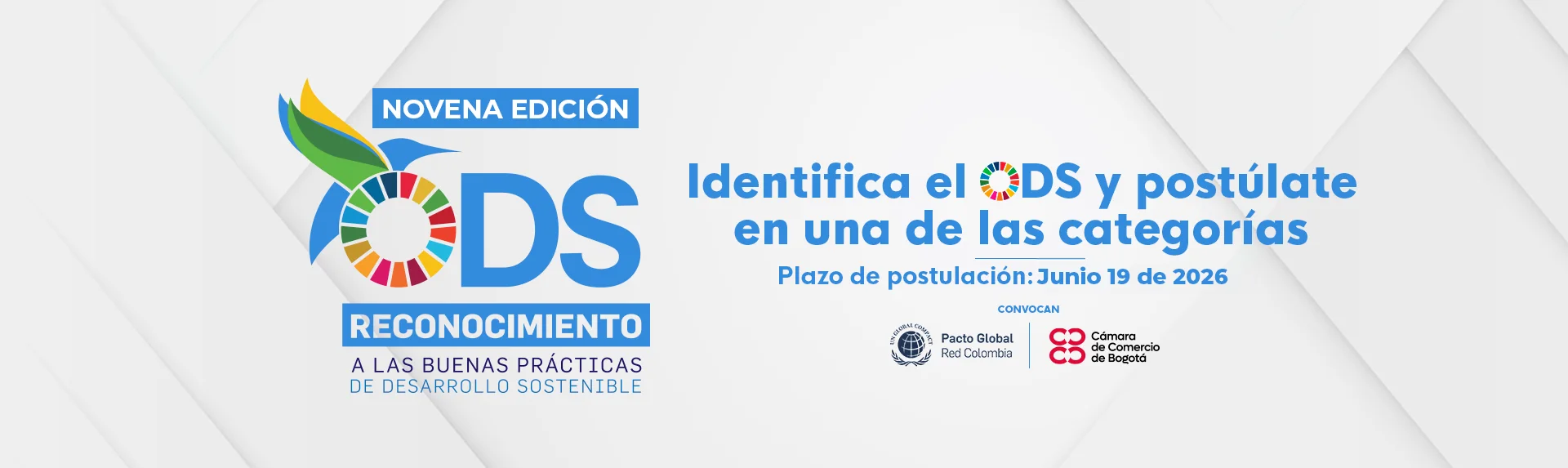 Reconocimiento 2 20018