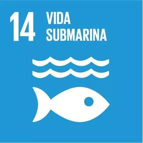 ODS 14 Vida Submarina