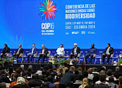 COP16: qué espera Colombia del reinicio de la cumbre medioambiental en Roma