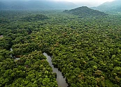 BBVA Colombia e IFC anuncian emisión del primer bono de biodiversidad del sector financiero