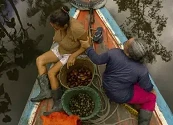 NATURA LANZA UNA STARTUP DE BIOINGREDIENTES PARA CONECTAR SUS CADENAS SOSTENIBLES EN LA AMAZONÍA CON EL MERCADO GLOBAL